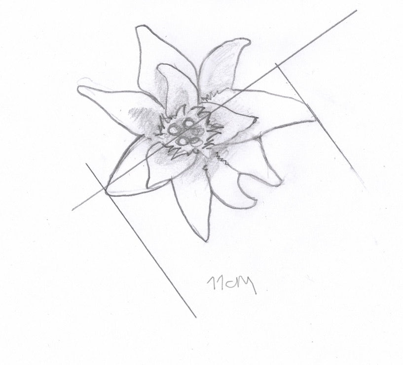 Haarschmuck: Edelweiss