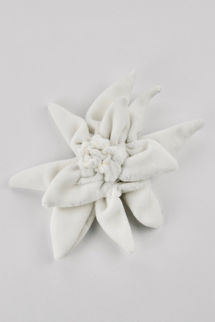 Haarschmuck: Edelweiss
